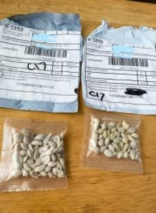 Mystery seeds that thousands of people received in the mail.  