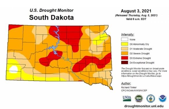 Figure 1. Figure 1. U.S. Drought Monitor for South Dakota. Released Thursday, Aug. 5, 2021. Courtesy: U.S. Drought Monitor