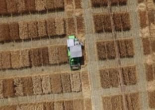 A photo shot from a drone of Texas A&M AgriLife wheat field plots near Bushland. 