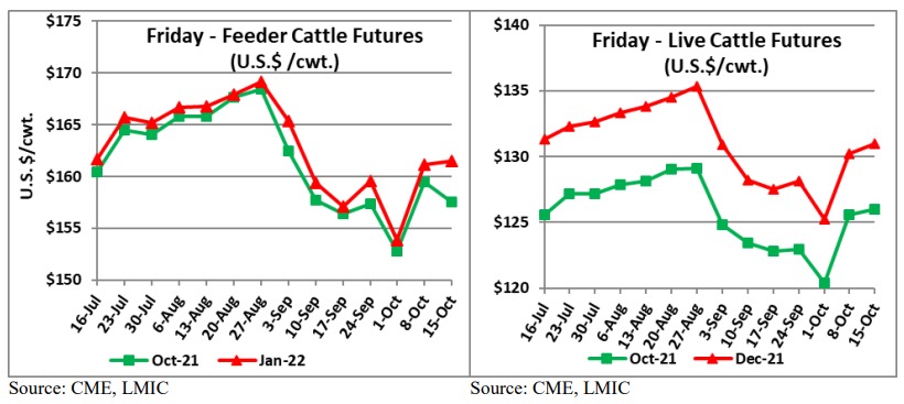 Cattle Futures