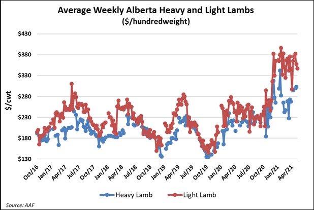 Average weekly Alberta heavy and light lamb prices