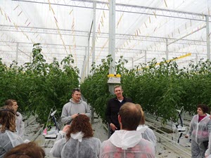 Greg Devries and Hilco Tamminga give AALP class 16 a tour of Truly Green Farms Phase 2 tomato greenhouse.