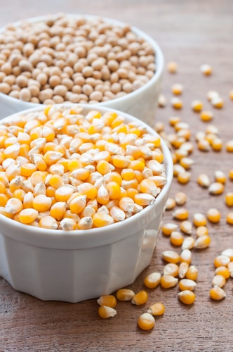 Corn and soybeans