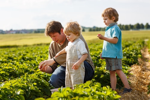 Father and children on farm