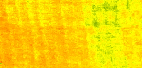 Low Value NDVI map