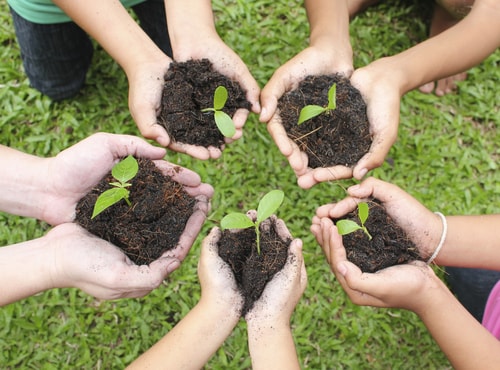 A group of people holding soil and plants