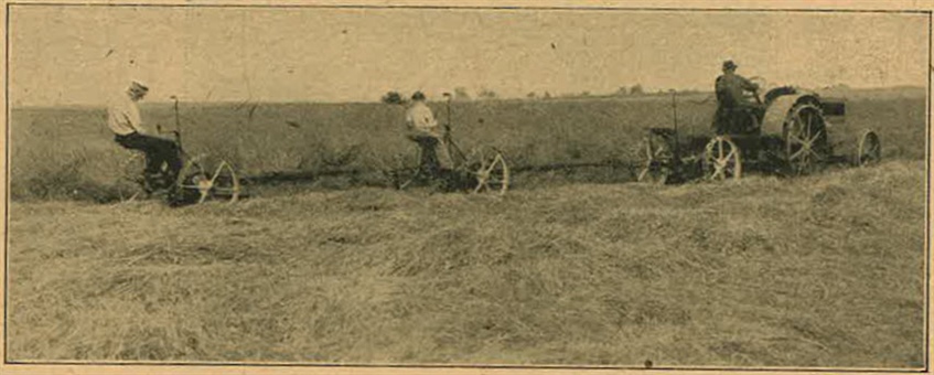 henry form photo of farming