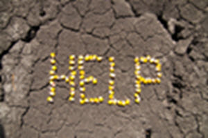 help in drought soil