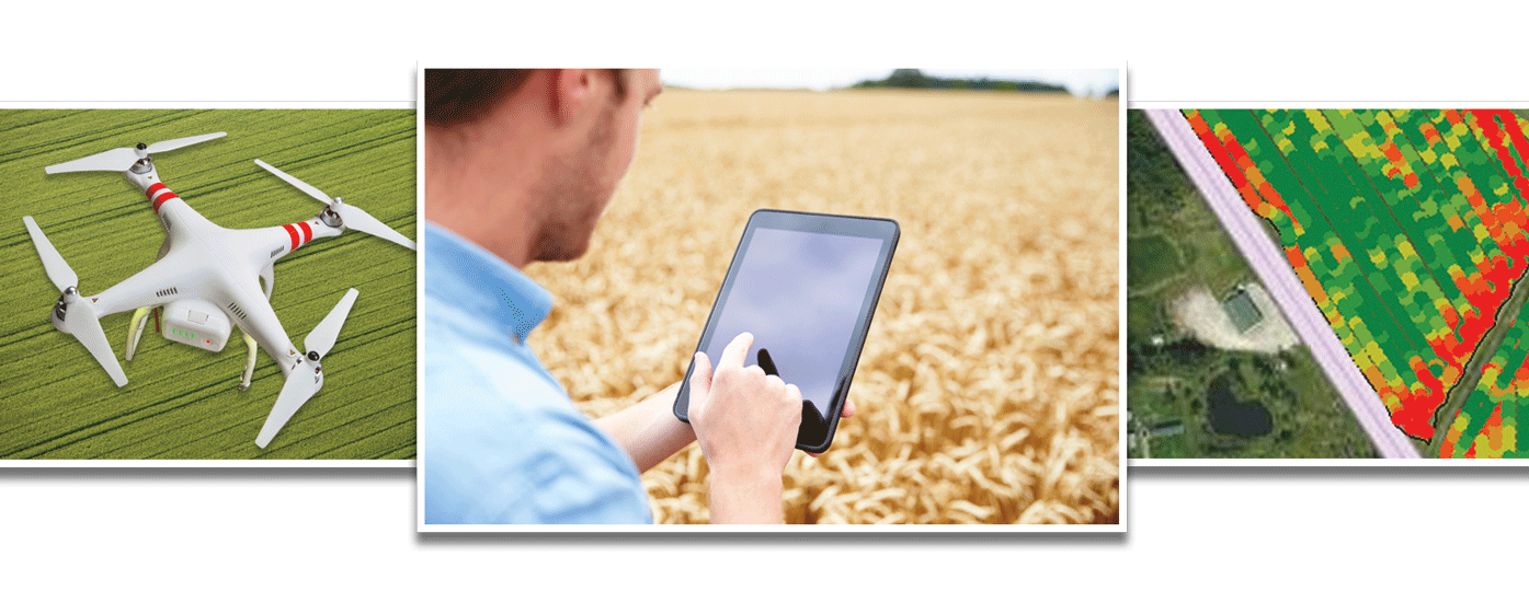 Farmer in field with tablet