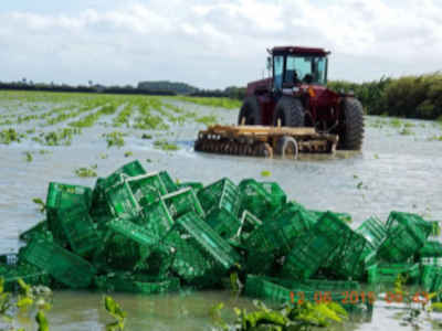 Damaged due to terrential rains in South bFlorida