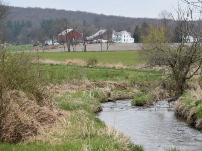 hay was reallocated onto landscapes