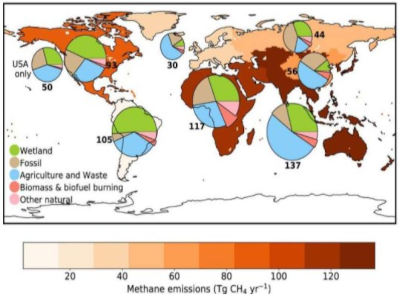 Global methane sources