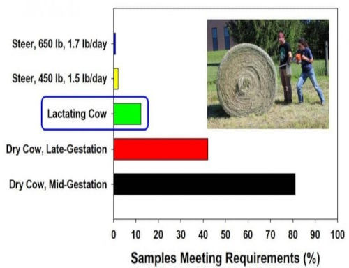 hay samples tested