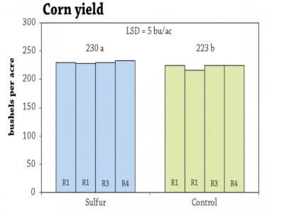 Corn Yield