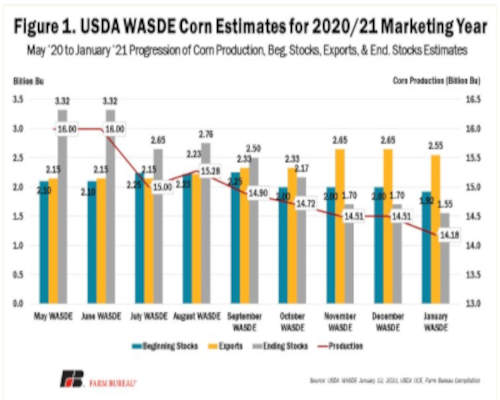 USDA WASDE Corn estimates for 2020