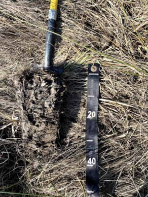 Soil Carbon Begets Soil Health