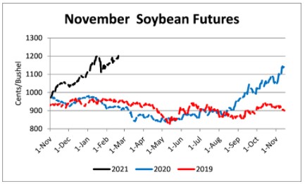 November Soybean Futures