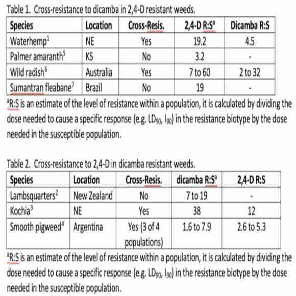 Cross Resistance to dicamba