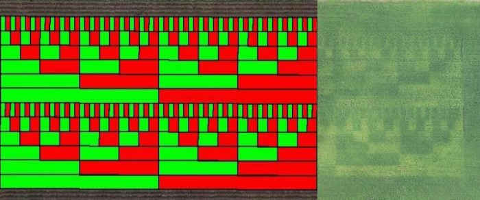 Treatment plots