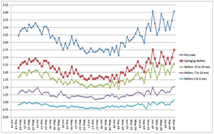 Feed cost/non-lactating animal/day.