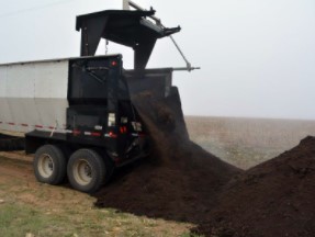 cattle manure