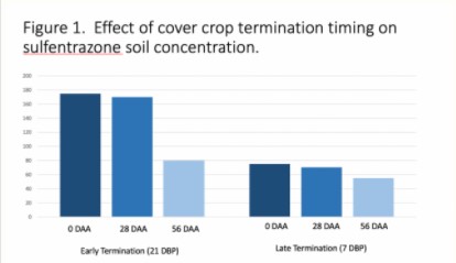 effect of cover crop