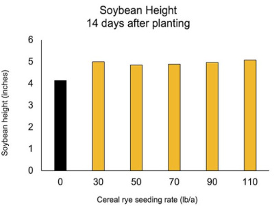 Soybean Height