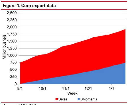 Corn Export Data