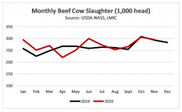 Monthly Beef Cow Slaughter