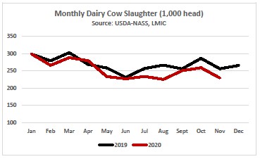 Monthle Dairy Cow Slaughter