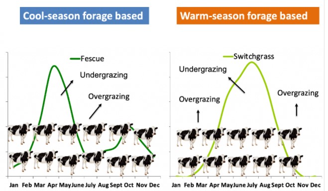periods of under- and over-grazing  