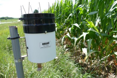 continuous corn systems