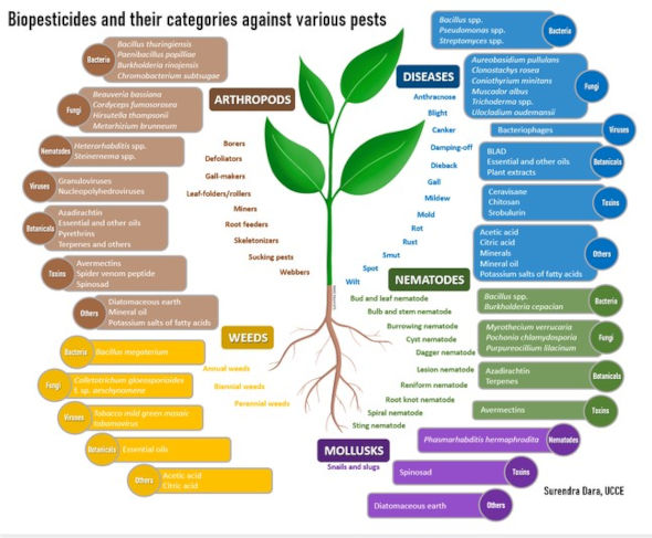 Biopesticide categories-Surendra Dara