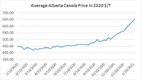 Average Alberta Canola Price
