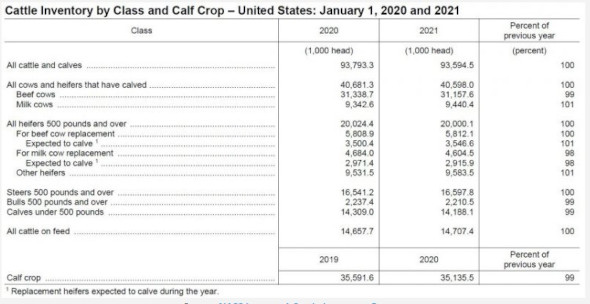 Jan 1 2020 vs 2021 Cattle Inventory by Class Chart