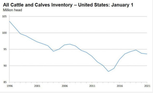 NASS January 1 Cattle Inventory Report