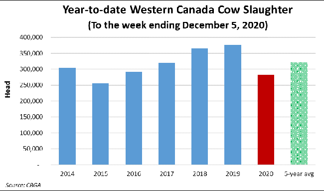 Year-to-date Western Canada Cow Slaughter