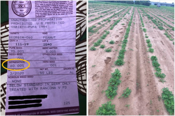 Check the germ rate of your seed. At a minimum, look at the seed tag. If your germ is low, adjust your seeding rates accordingly to avoid yield loss at planting. 