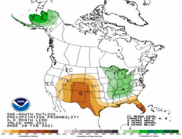 Precipitation outlook for March 2021