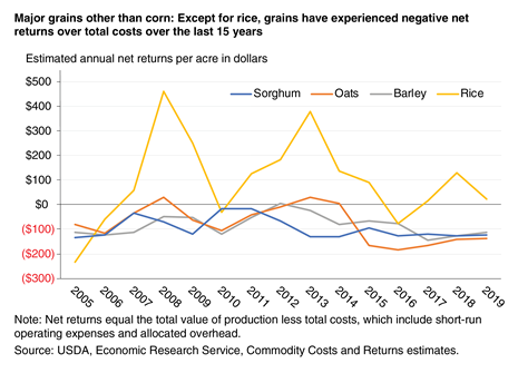 A line graph that shows estimated annual net returns for major grains other than corn, indicating that grains other than rice have experienced negative net returns over total costs during the last 15 years.