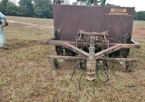 Planting equipment to establish rhizoma peanut into perennial grass sward