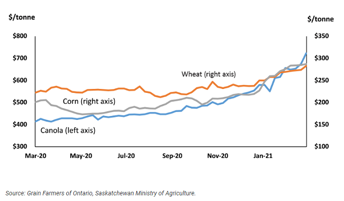 Average Saskatchewan canola and wheat prices and Ontario corn prices
