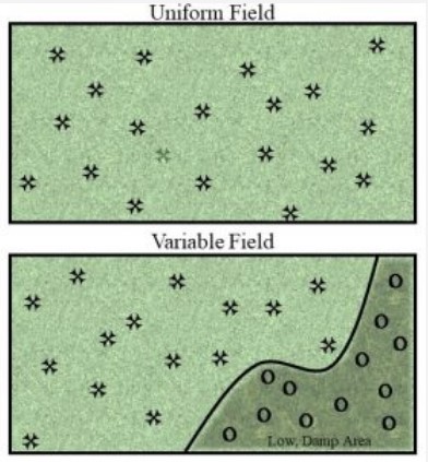 You may need more than one soil test for a field with variable conditions.