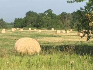 Wheat Bale Ontario
