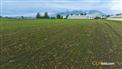 10 acres Greendale Prime - 10 Acres for Sale