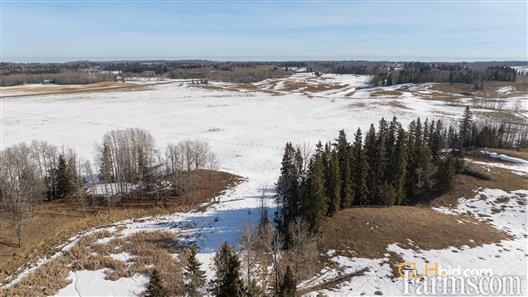 Parkland Panorama - 170 Acres for Sale, Rimbey, Alberta
