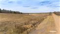 Two Hills Fodder - 312 Acres for Sale, Two Hills, Alberta