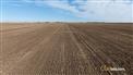 Bow Island Pivotal - 916 Acres for Sale, Bow Island, Alberta