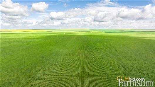 Kincaid Pinnacle - 158 Acres for Sale, Kincaid, Saskatchewan