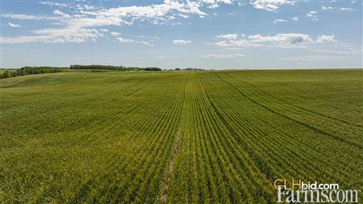 Two Hills Next Level - 316 Acres for Sale, Two Hills, Alberta